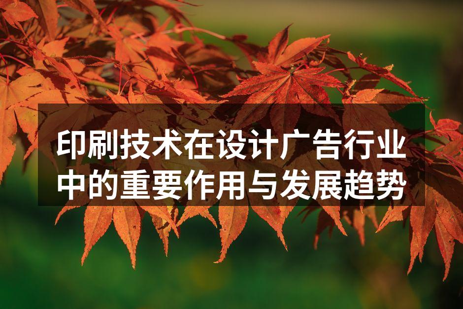 现代印刷技术与设计的完美结合