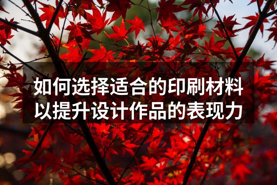 多种印刷材料展示